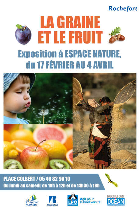 Exhibition: The Seed and the Fruit