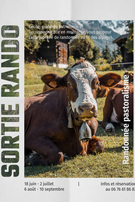 Randonnée pastoralisme