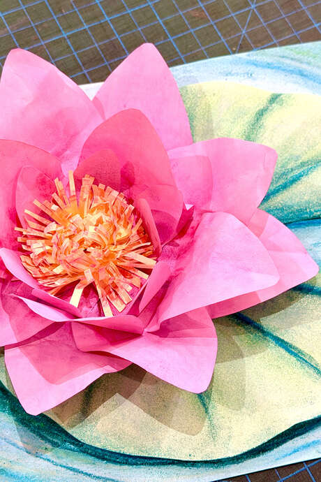 Atelier Nénuphar en papier - Juniors de 7 à 13 ans