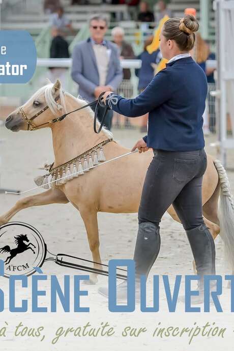 Soirée Scène Ouverte - classe spectacle Championnat de France du Cheval Miniature