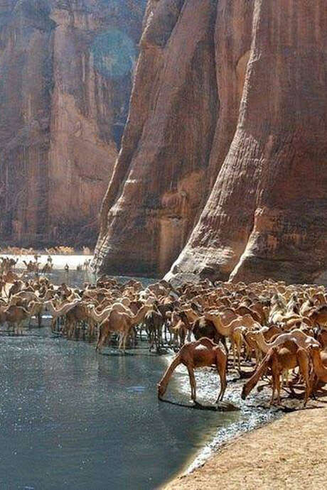 Ciné-conférence "Tibesti et l’oasis oubliée"
