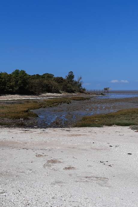 La baie d'Yves au fil des Temps - Le Magnou entre terre et Mer