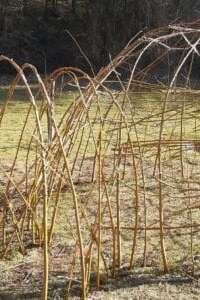 COMPLET - Activité enfant 6-13 ans - Cabane et bricolages avec des plantes - Maison du Marais