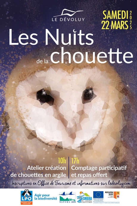 Owl nights