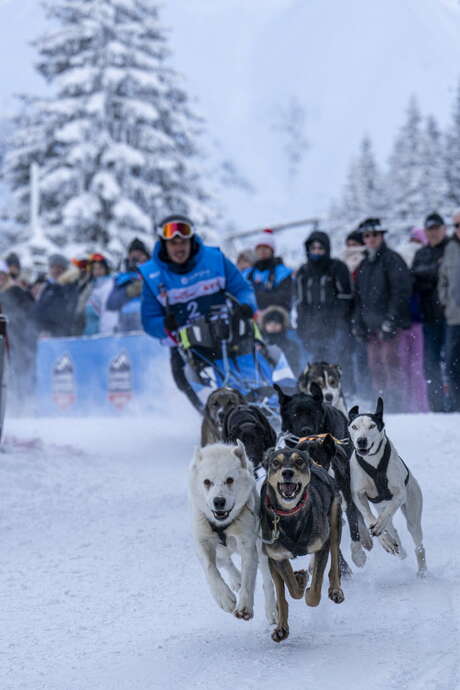 La Grande Odyssée Royal Canin : 3ème étape à Savoie Grand Revard