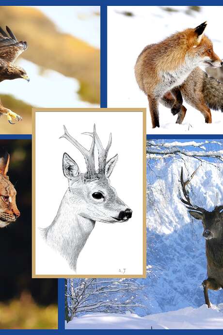 Exposition "La Face cachée du Mont-Blanc" au Centre Culturel de la Gorge