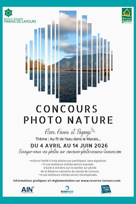 Concours photo nature : Au fil de l'eau dans le marais...