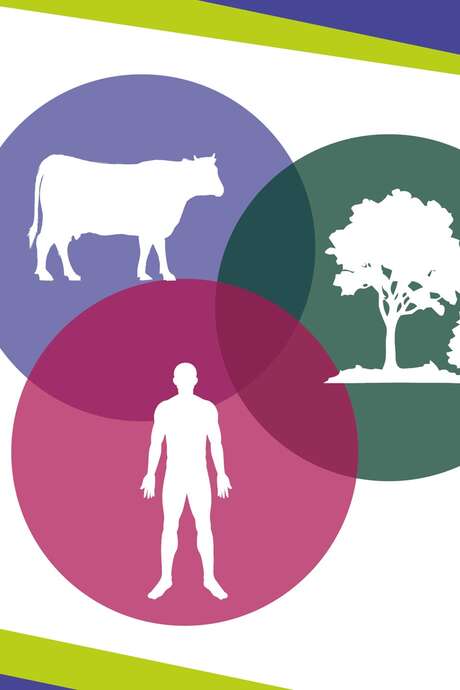 Soirée conférence : Une seule santé !