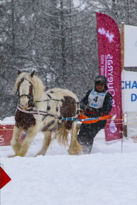 French Ski Joëring Championship