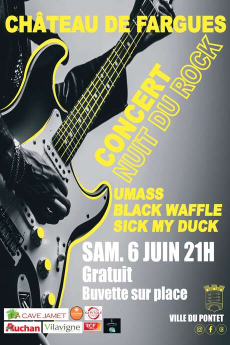 Nuit du Rock