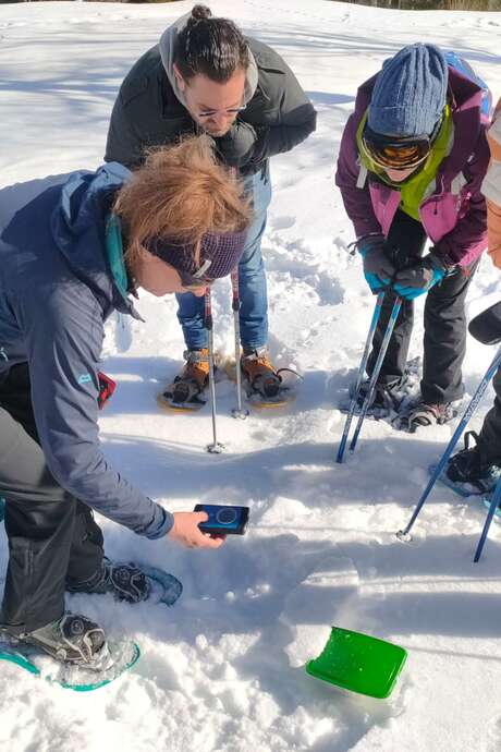 Snowshoe hike and avalanche transceiver training