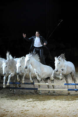 40e édition Cheval Passion
