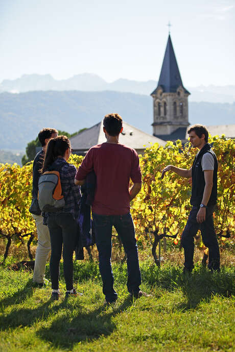 Apéro'vignes au Domaine de l'Idylle