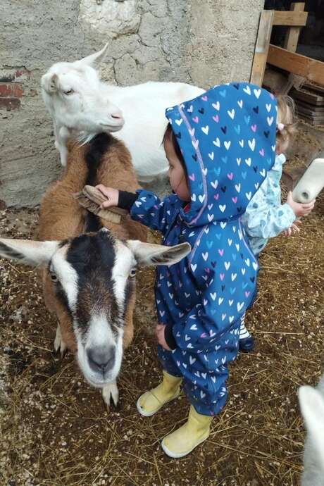 Ouverture de la chèvrerie