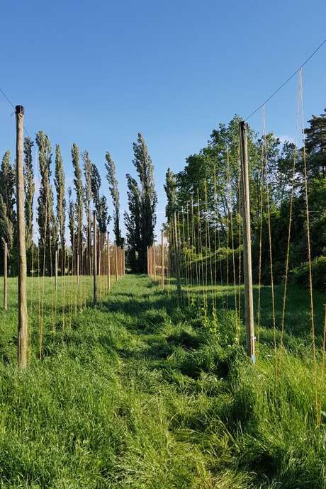 La micro-brasserie de la ferme Mas Ribelly émoustille les papilles !