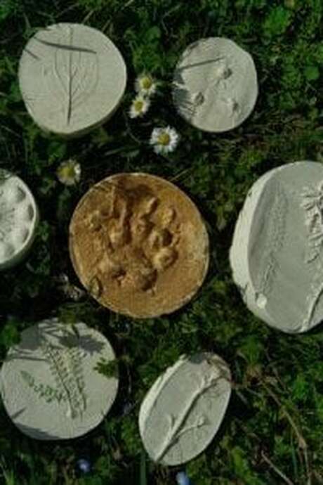 Moulages sauvages d'empreintes et de plantes (4-7ans) - Maison du Marais de Lavours