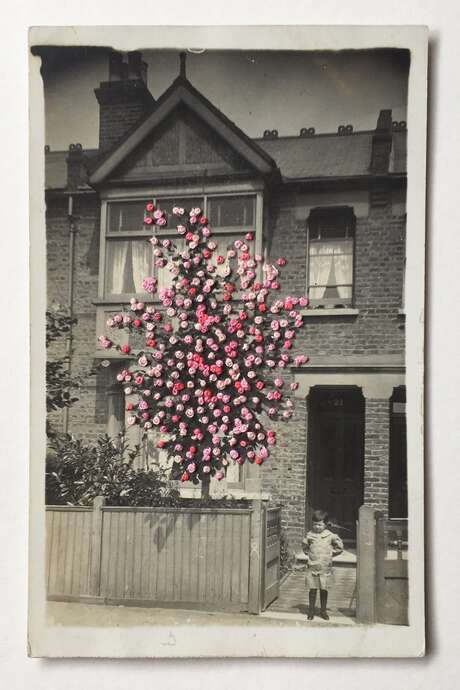 Broderie sur photo · végétalisons la ville