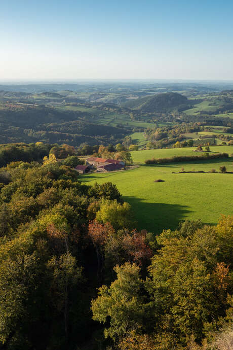 Randonnée gourmande chez un apiculteur local à Arfeuilles