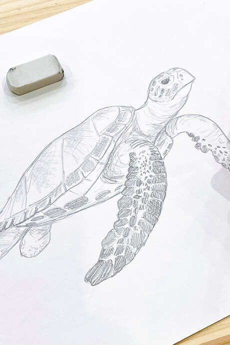Atelier dessin/peinture - Adultes dès 14 ans