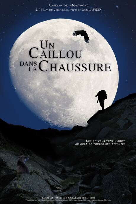 Cinéma de Montagne : Un Caillou dans la Chaussure