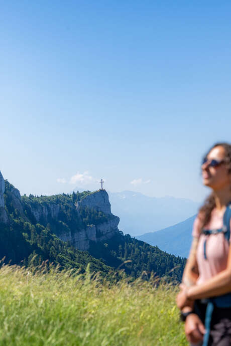 Balade découverte des plantes de montagne