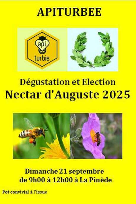 Dégustation et élection du Nectar d'Auguste 2025
