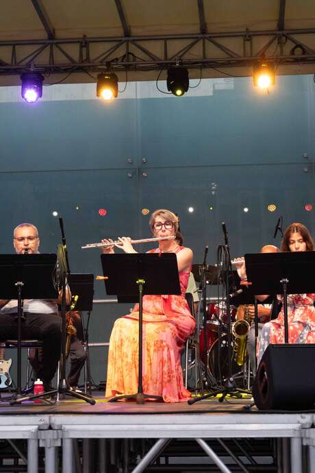 Week-end de la musique