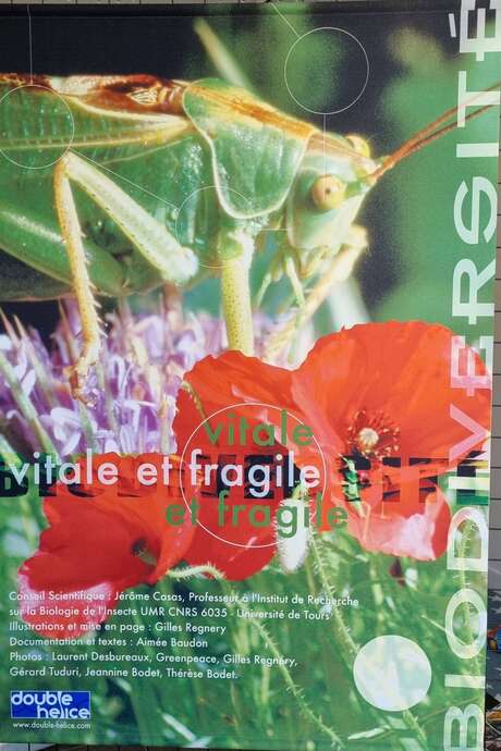 Ausstellung "Biologische Vielfalt"