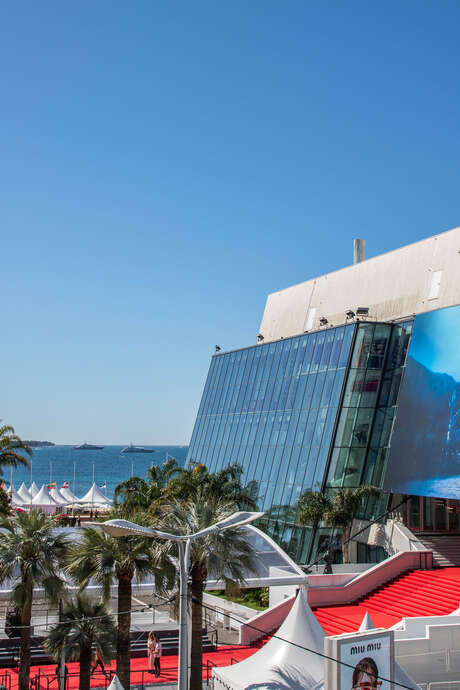 Festival de Cannes