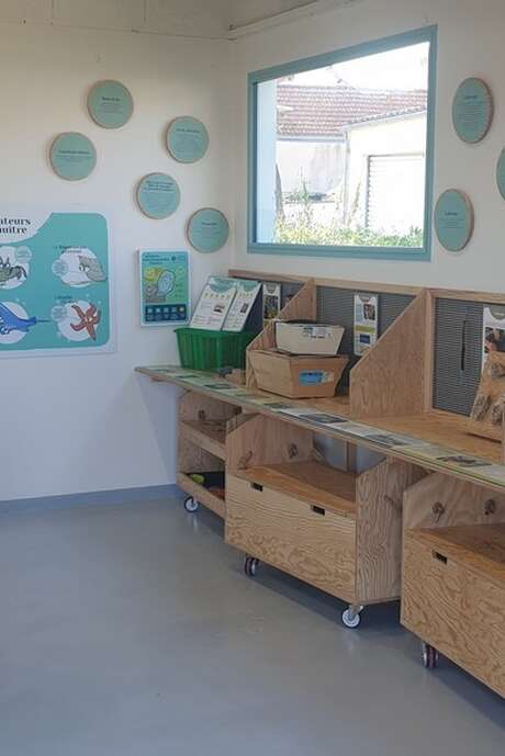 Instant Familie Hexenspiele: Auf der Suche nach der verlorenen Auster