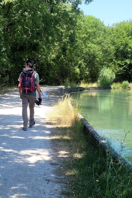 Balade à Velleron : la parisienne