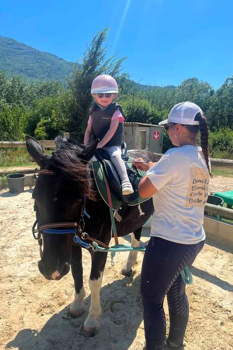 Praktikum: Arbeit zu Fuß & Baden im Fluss mit dem eigenen Pony