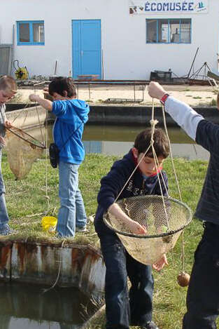 Journées européennes du patrimoine - écomusée de Port des Barques Journées européennes du patrimoine - écomusée de Port des Barques