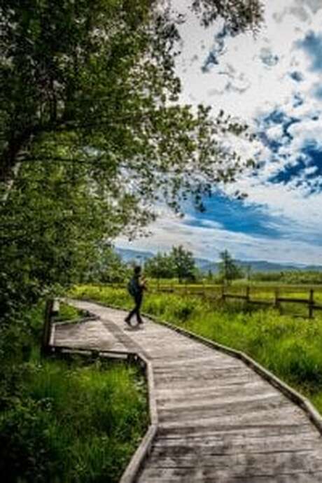 Visite guidée de la Réserve Naturelle du Marais de Lavours