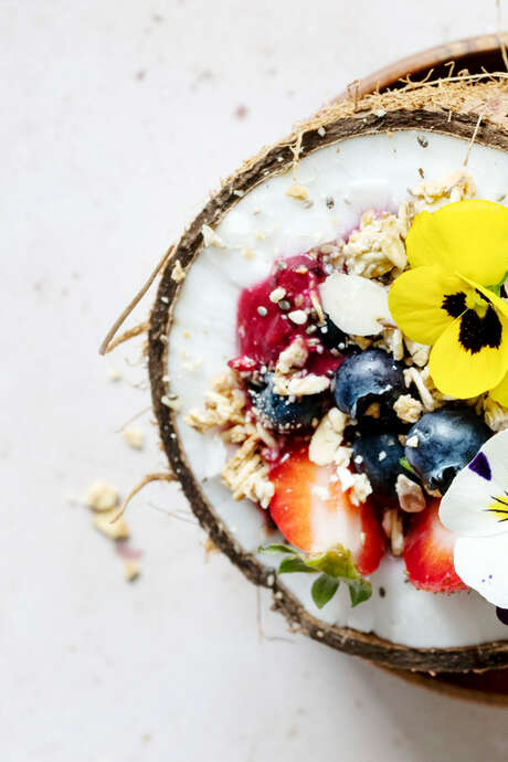 Balade nature : les fleurs comestibles