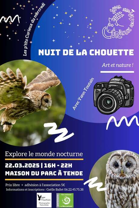 Nuit de la chouette