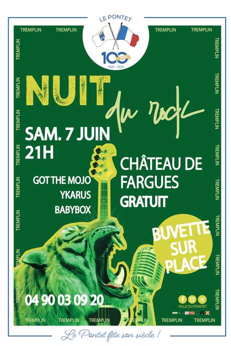 8ème Nuit du Rock 8ème Nuit du Rock