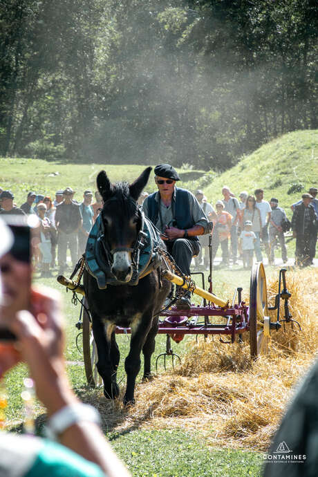 Fête du Mulet