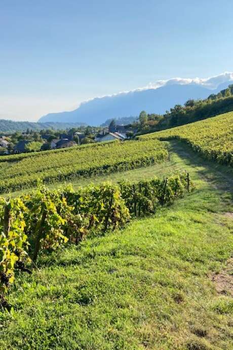 Apéro'Vignes au Château de Mérande