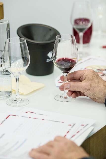 Atelier École des Vins - Initiation à la dégustation et découverte des vinification