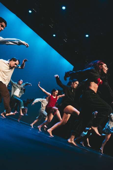 Festival Théâtre Humour & Danse de RCM : Schéma 14.0