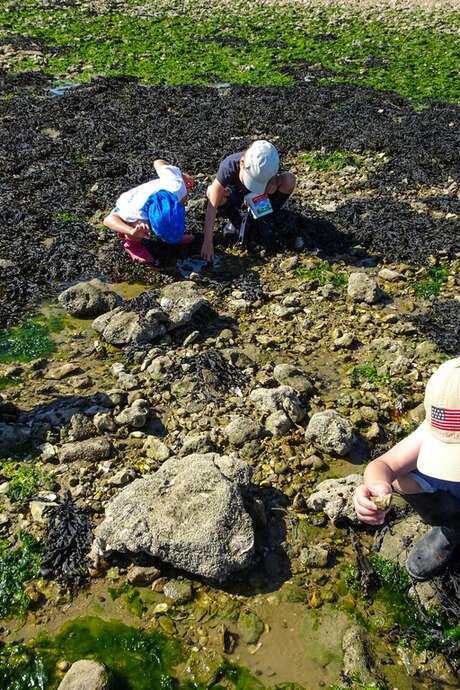 Sea leash and land art activity