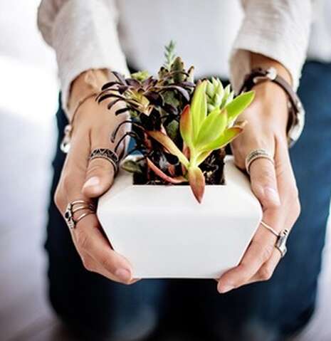 Troc' Plantes