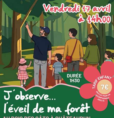 Balade famille - J'observe l'éveil de ma forêt