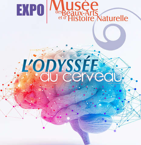 Visite commentée - L’odyssée du cerveau : neurones, neurotransmetteurs et cellules gliales
