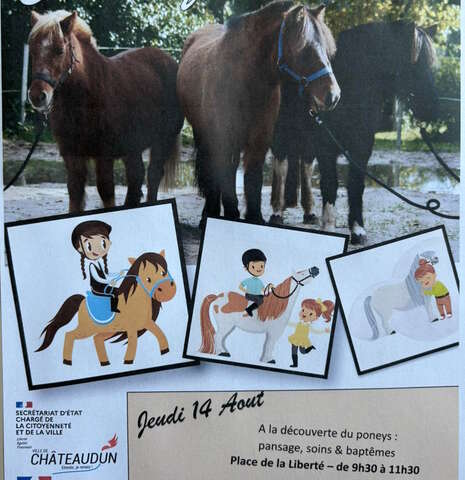 A la découverte du poney
