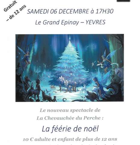 Spectacle équestre, feu, son et lumière - La Féérie de Noël