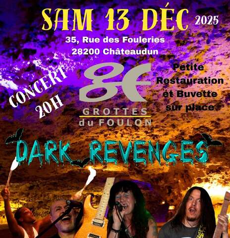 Concert - Dark Revenges