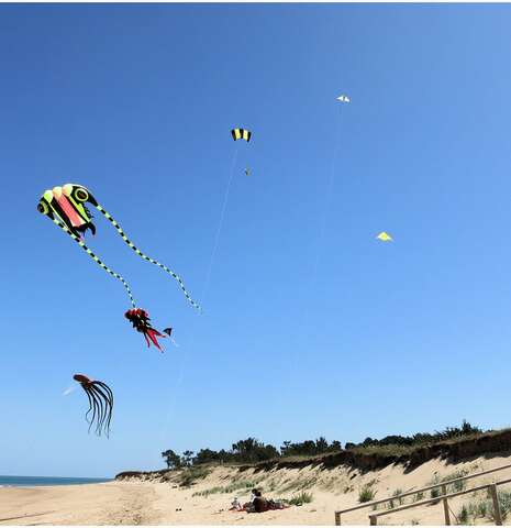 Festival "Yeu s'envole"