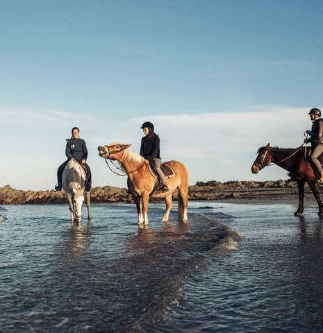 Balades à cheval avec Caval Coaching